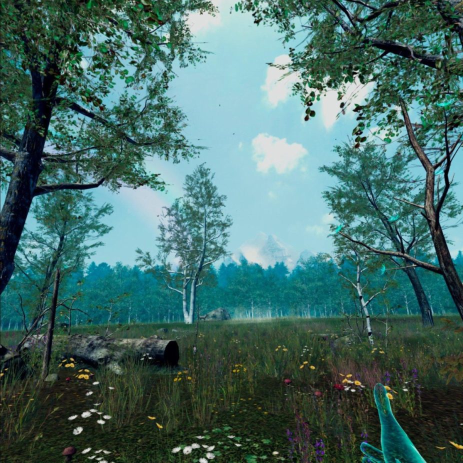 729 729 - Nature Treks VR Review