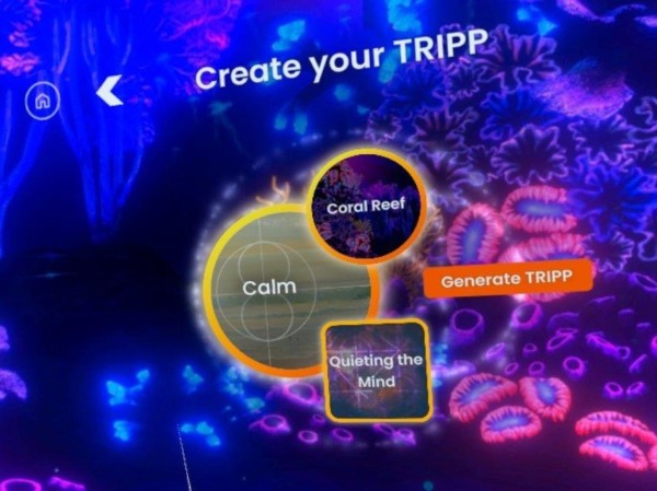 1622 - Tripp VR Review