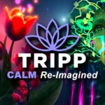 Tripp VR Review