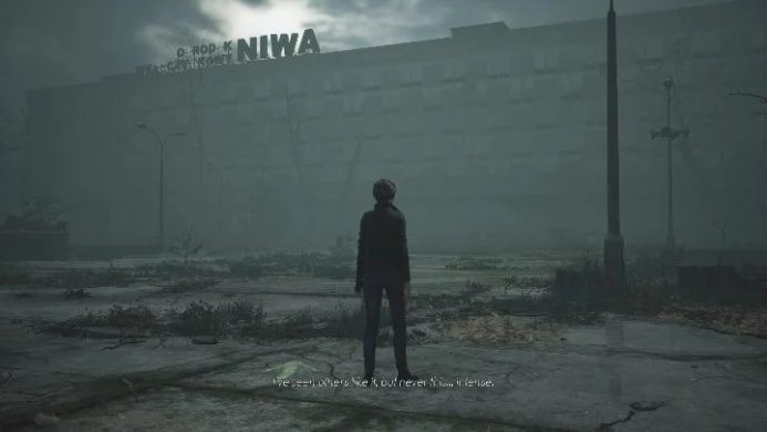 Niwa - The Medium Game Review