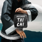 Guided Tai Chi VR Review
