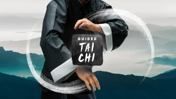Guided Tai Chi is a relaxing mild work out in VR