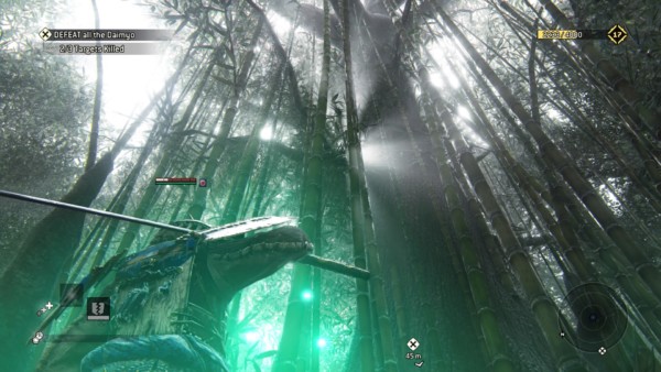 A Mysterious and bloody swamp